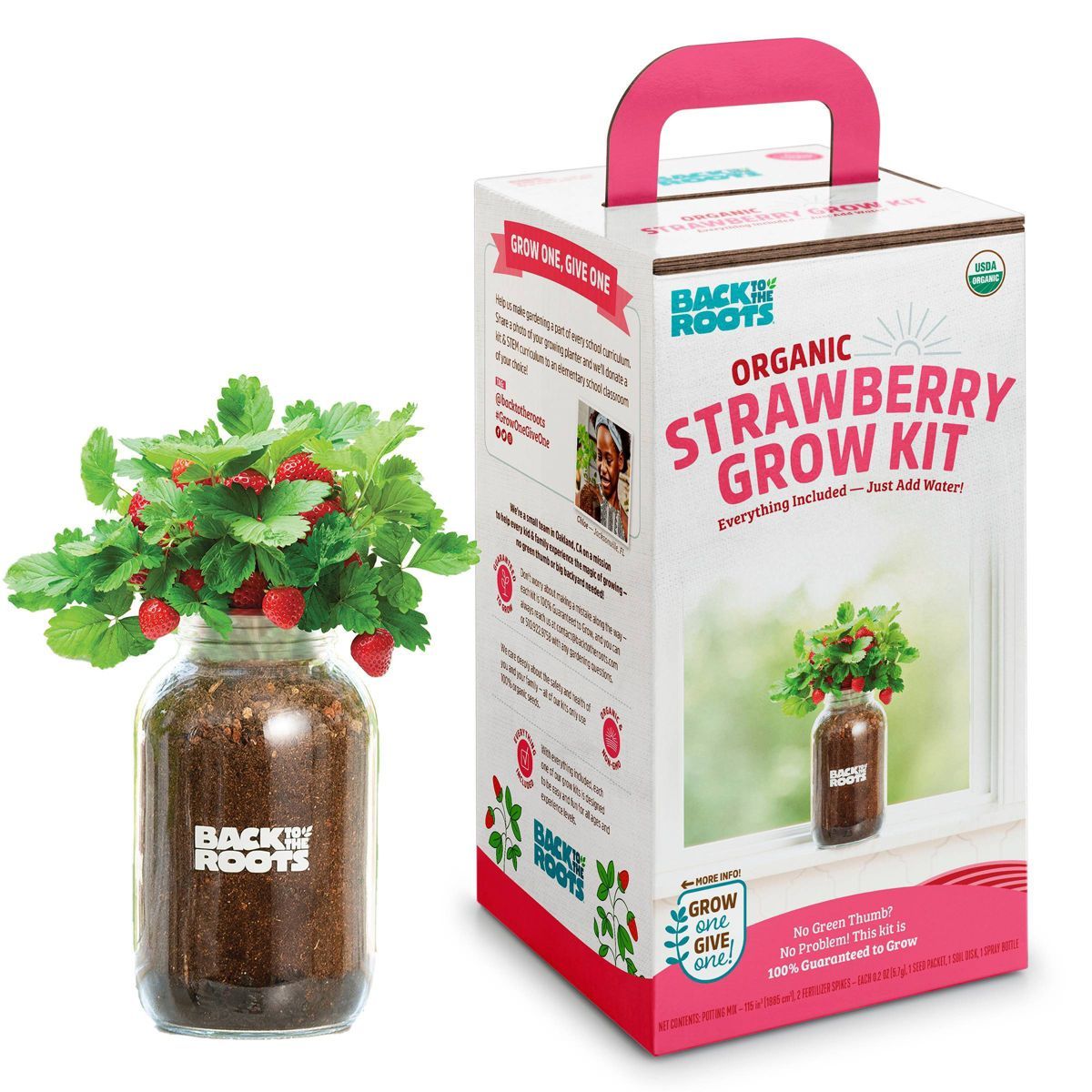 Back to the Roots Organic Strawberry Grow Kit | Target