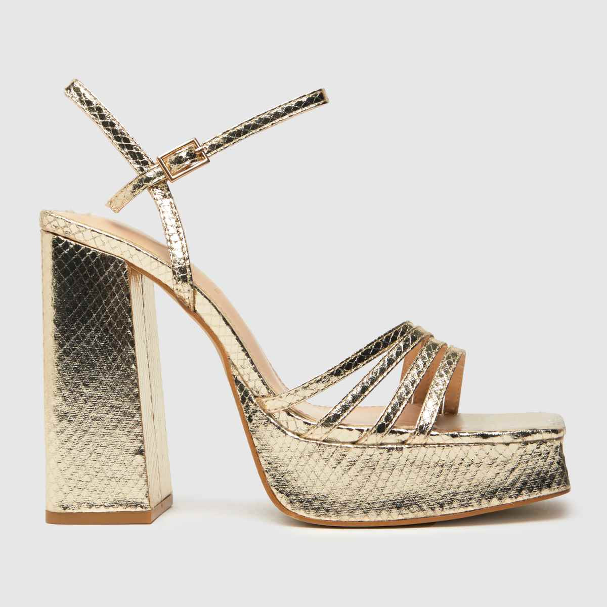 schuh skylar snake square toe high heels in gold | Schuh