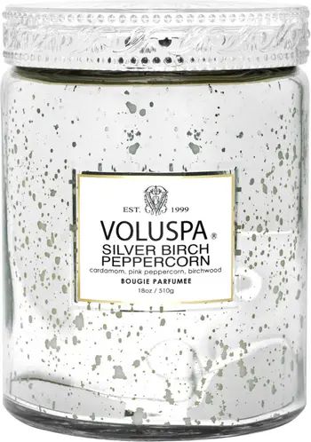 Voluspa Silver Birch & Peppercorn Large Jar Candle | Nordstrom | Nordstrom
