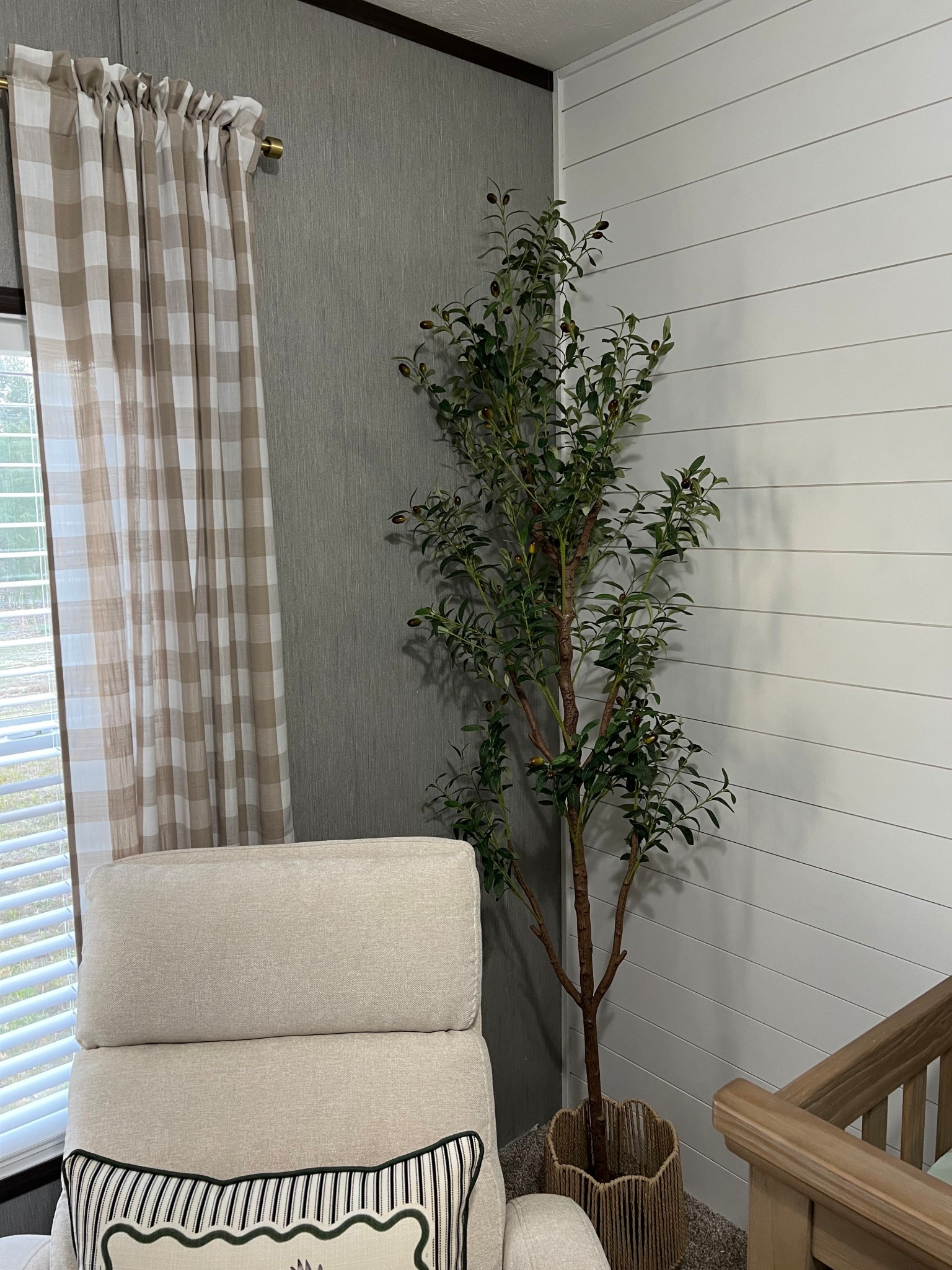 Perfect touch for any room! #olivetree #greenerydecor #olivetreedecor
