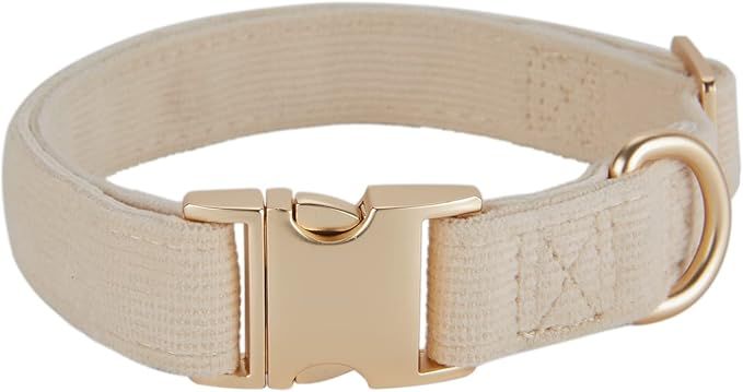 Soft Corduroy Fibric Dog Collar with High Grade Metal Buckle, for Medium Dogs.(White,Medium:12-19... | Amazon (US)