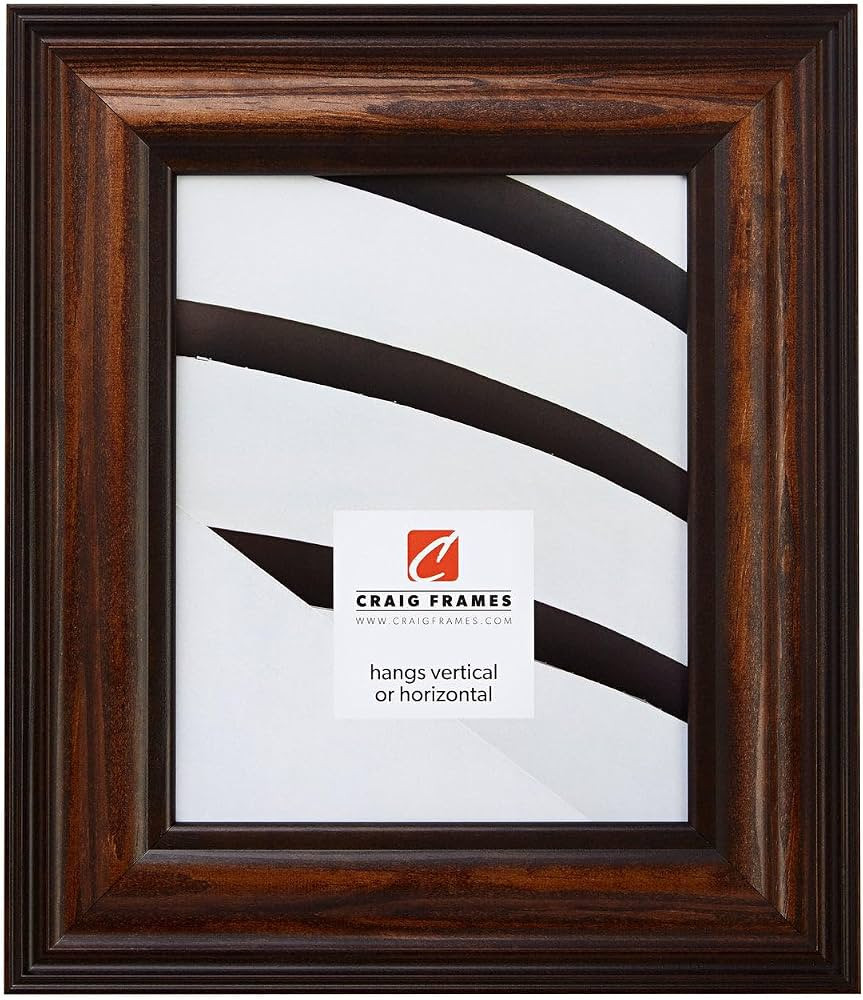 Craig Frames 26x38 Walnut Brown Poster Frame for Posters and Gallery Wall | Amazon (US)