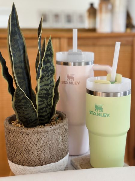 If you’re wondering if the #Stanley cups are worth the hype… yes, yes they are! 💗💚 loving these cute pastel colors for spring!

#LTKfit #LTKhome #LTKFind