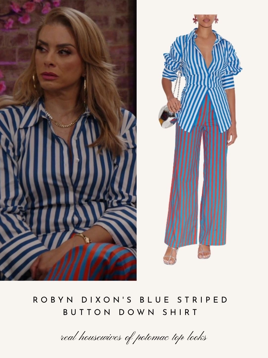 Robyn Dixon’s Blue Striped Button Down Shirt