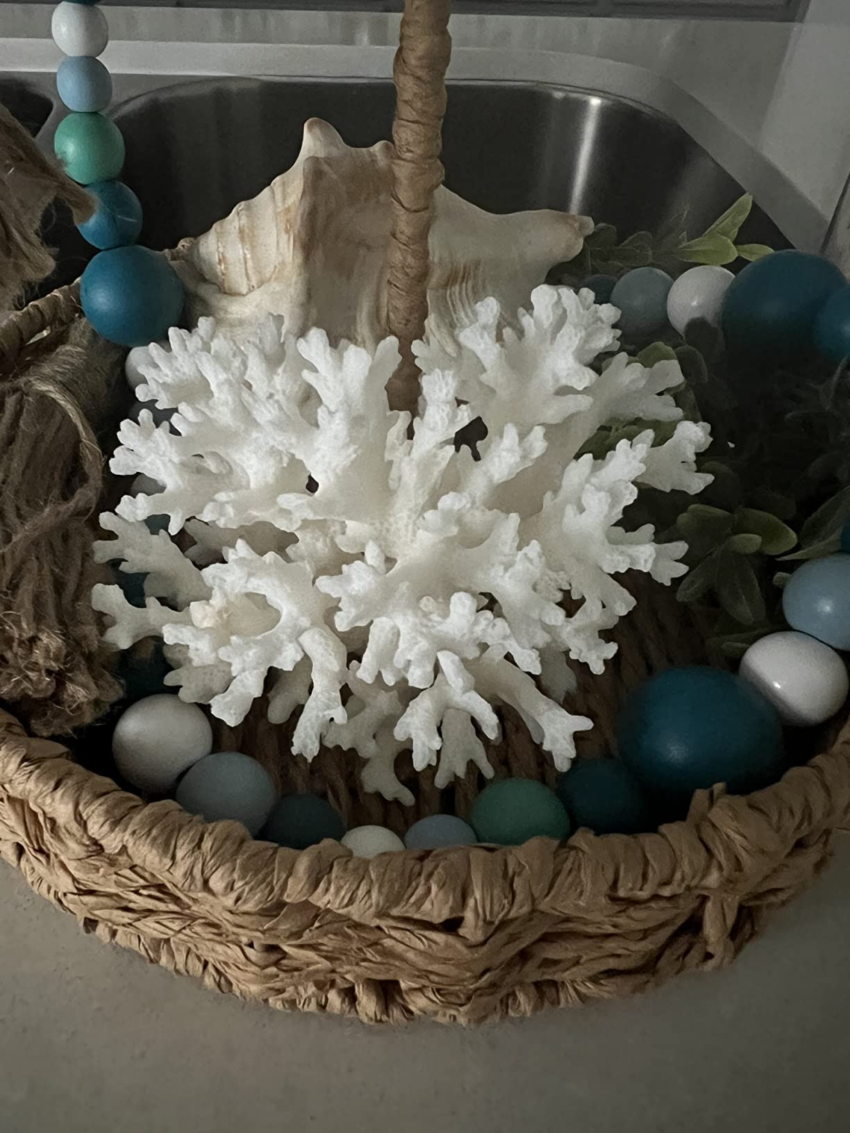 Amazon.com : White Sea Coral | 4-5" Lace Coral Pocillopora Damicornis | Plus Free Nautical eBook ... | Amazon (US)
