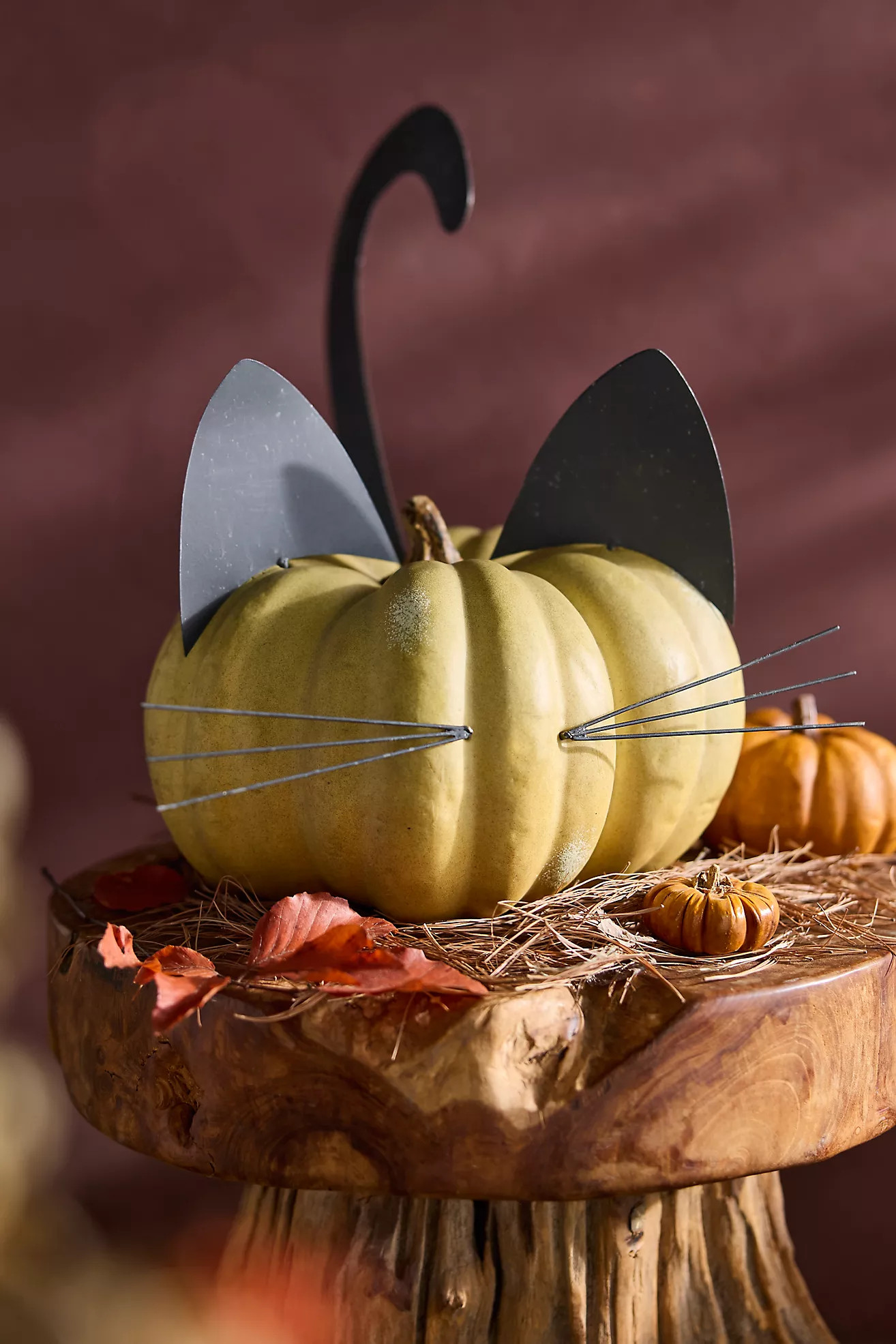 Black Cat Pumpkin Stake Set | Anthropologie (US)