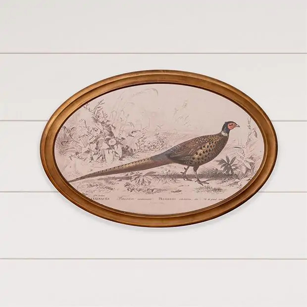 Oval Framed Pheasant Wall Decor | Antique Farm House