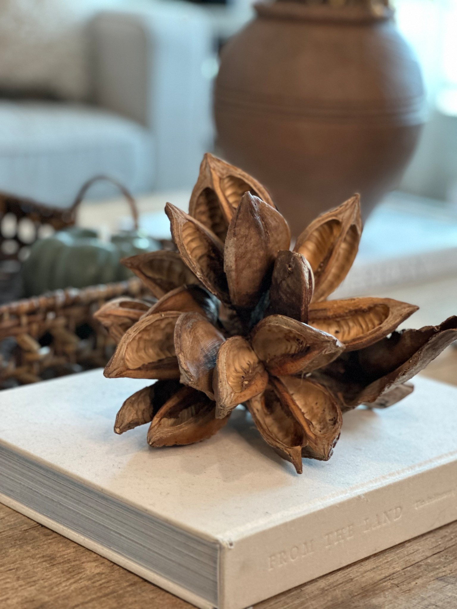 This organic star is the perfect addition to your fall home decor! 
Organic Home 

#LTKHome #LTKFindsUnder50 #LTKStyleTip