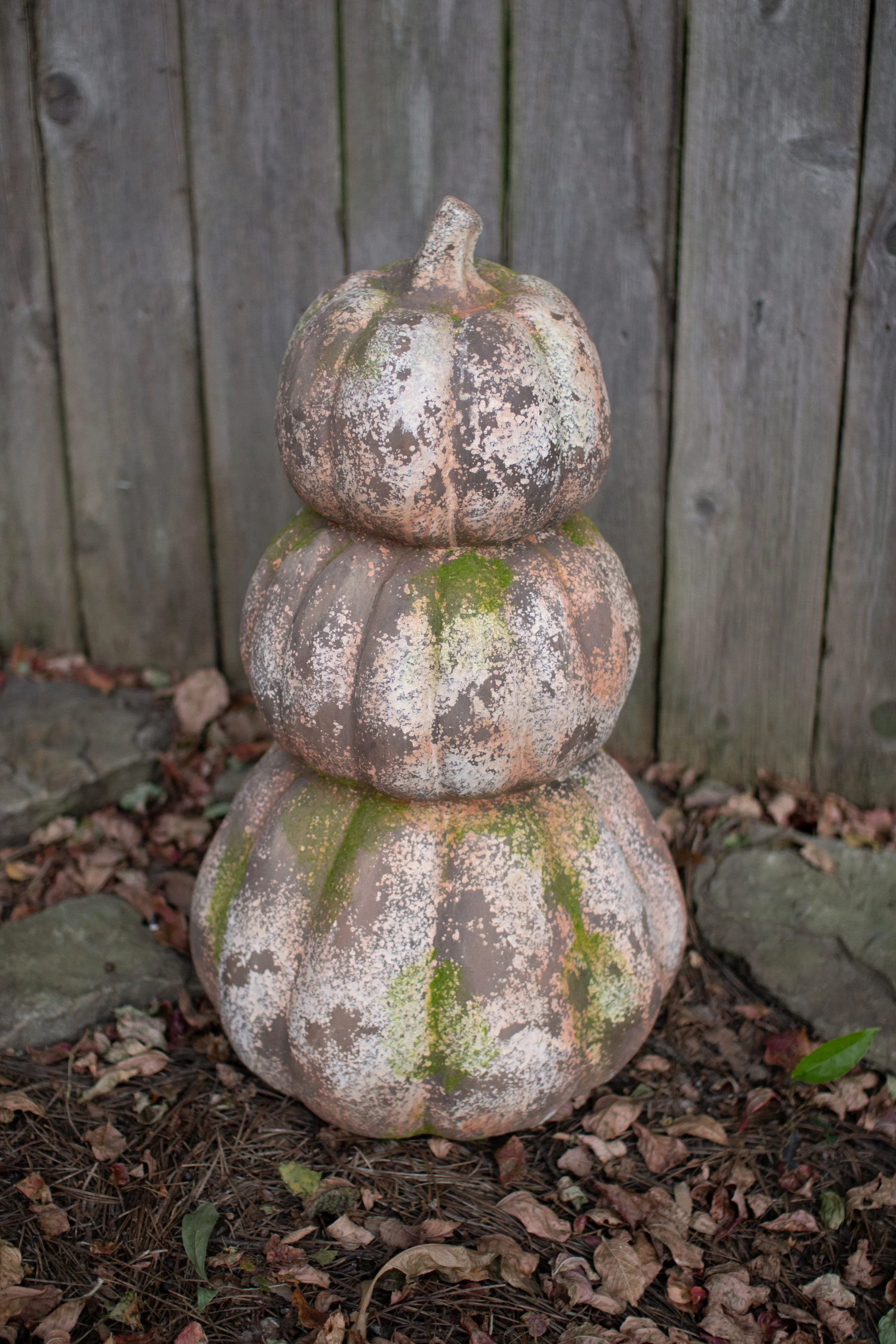 Halloween Decorative Accent | Wayfair North America