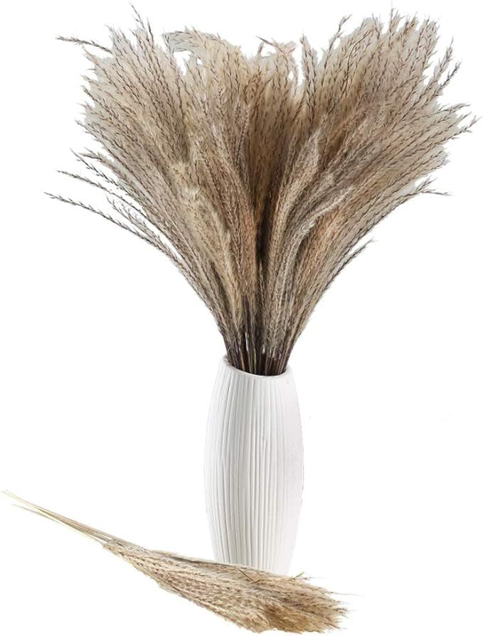 XHXSTORE 60 Pcs Dried Pampas Grass Reed Grass Plume Natural Artificial Pampas Grass Dried Flower ... | Amazon (US)