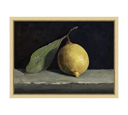 Lemon Still Life Framed Canvas | Pottery Barn (US)