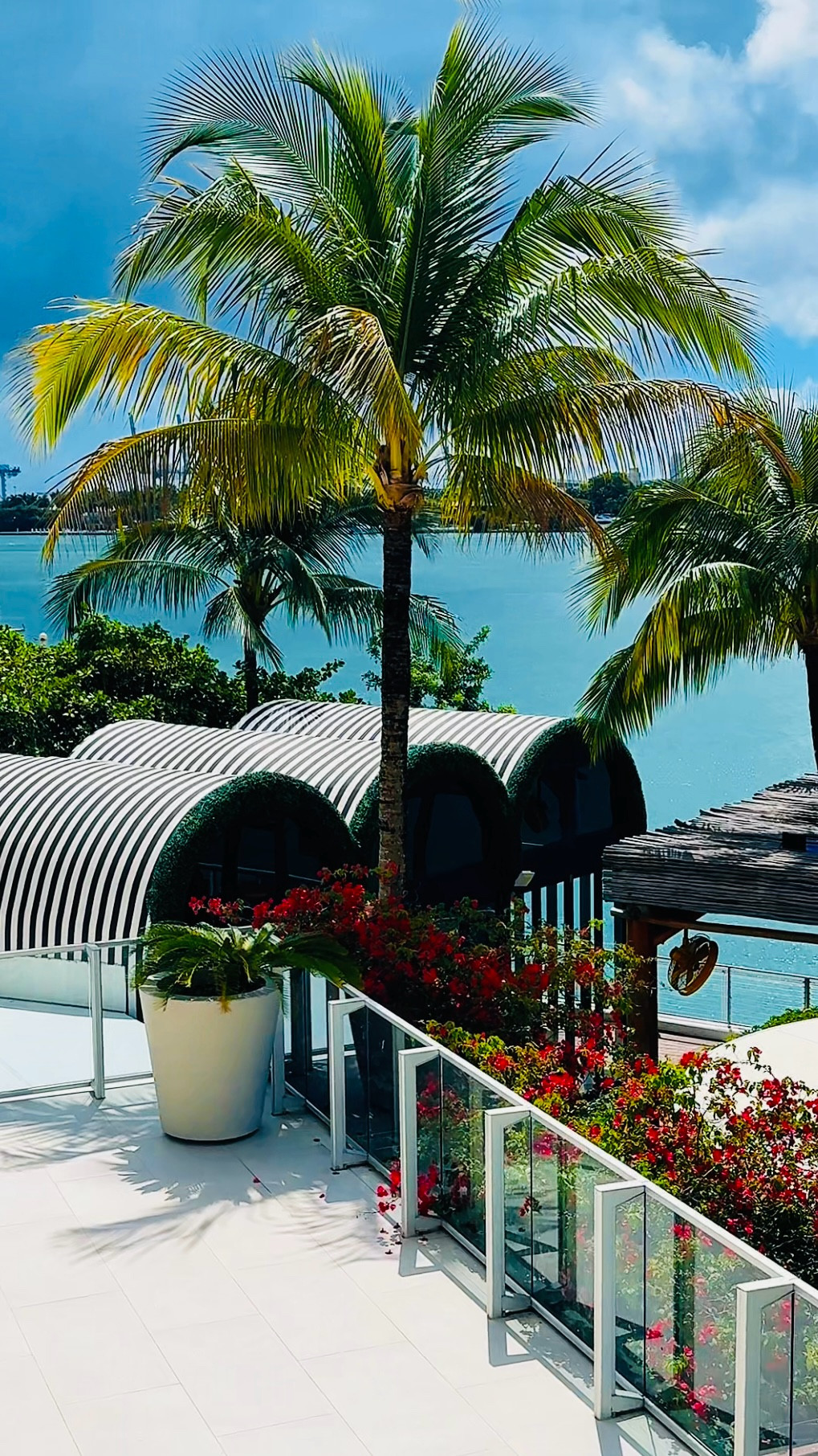 Mondrian South Beach Miami luxury day at one of the city’s most iconic bayfront escapes. Think skyline views, Baia Beach Club dining, waterfront cabanas, poolside lounging, jet skis cruising by, yacht-day energy, and the kind of South Beach atmosphere that feels straight out of a postcard. Craig David once called this home while living in America, and TS5 was born here. For a day like this, Nirvana is picking the chicest luxury designer beach bags for pool days, boat days, yacht days, and glamorous Miami escapes. She linked her favorite elevated beach bag picks to complete the look. Nirvana the Shih Tzu 💋 Nirvana Approved

#LTKTravel #LTKgrwm #LTKdayinmylife