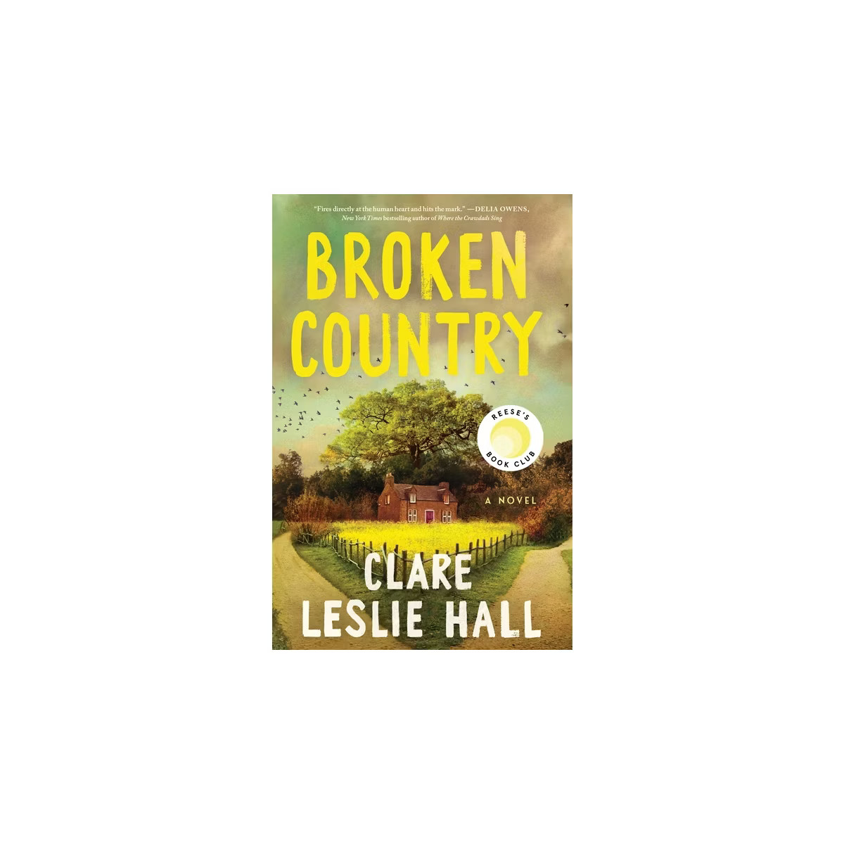 Broken Country - by Clare Leslie Hall (Hardcover) | Target