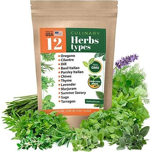 Herb Garden Seeds Collection - 12 Culinary Herb Seeds Pack - Non-GMO Heirloom Seeds for Planting | Amazon (US)