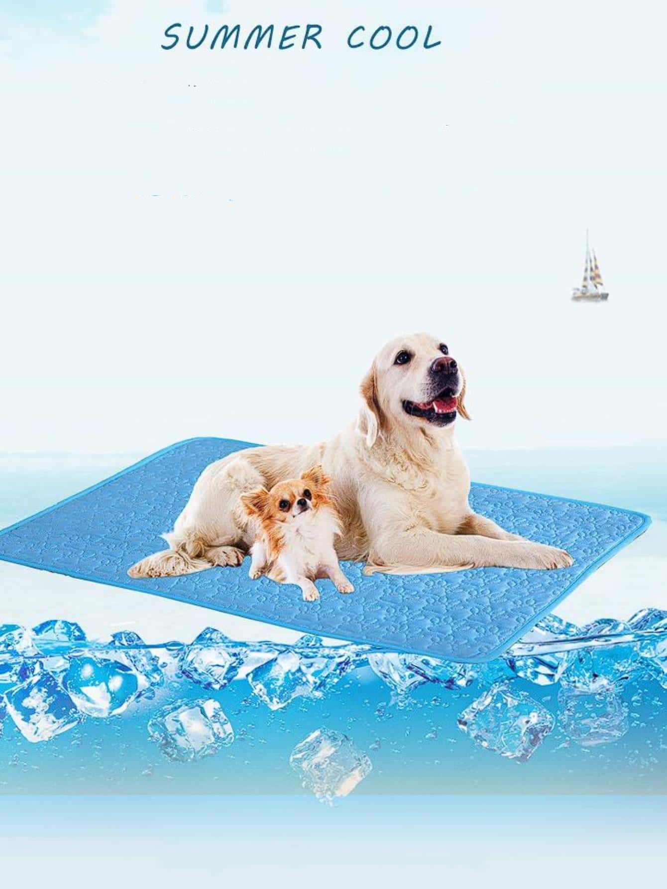 $1.00  
        $2.10
       
        -
      
      52%
            
        5.00
       
      ... | SHEIN