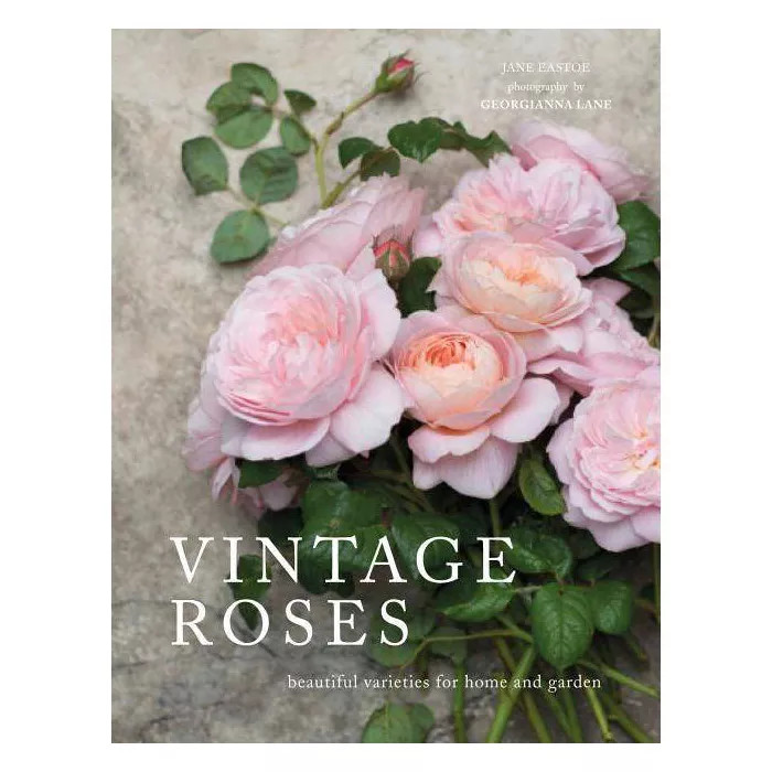 Vintage Roses - by  Jane Eastoe (Hardcover) | Target