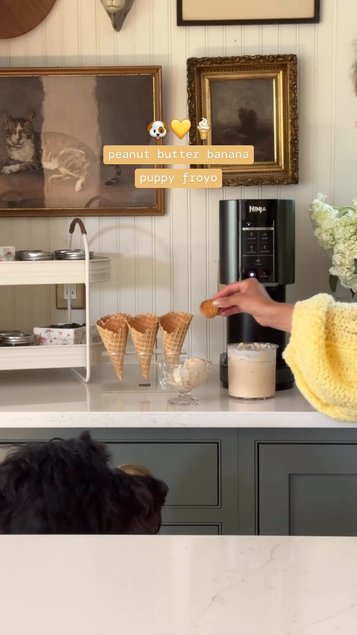 PUPPY FROYO 🐶🍦 Mr. Odin approves! This recipe is so easy to make in the Ninja Creami. The base is super yummy as is (Shawn and I both love it too lol) but then we added puppy cookies as the mixins which took it to the next level (says Odin lol). This was so fun and one batch will last quite a bit! 

INGREDIENTS:
💛2 ripe bananas
💛1 cup greek yogurt nonfat plain
💛1/2 cup creamy peanut butter (make sure it doesn’t contain xylitol or any other ingredients harmful to dogs)
💛dog treats for mix ins and toppings

DIRECTIONS:
💛mash the bananas until smooth.
💛mix in the Greek yogurt & peanut butter
💛Pour the mixture into a ninja creami container and freeze for at least 24 hours 
💛once the base is completely frozen, place the container in the ninja creami bowl
💛use the sorbet setting to process the base
💛add in puppy treats as a mix in & use mix in setting
💛scoop out a portion & serve as a treat!

#homemadedogtreats 

#LTKVideo #LTKSeasonal