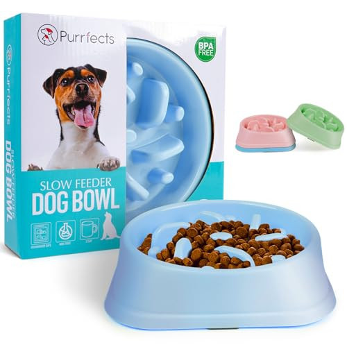 Purrfects Slow Feeder Dog Bowl (Small/Medium Dogs) - Anti Choke, Anti Bloat - Dog Bowl Slow Feeder Dog feeders to Slow Feeding Dog Bowls Dog Slow Feeder Bowl (Sky Blue) | Amazon (US)