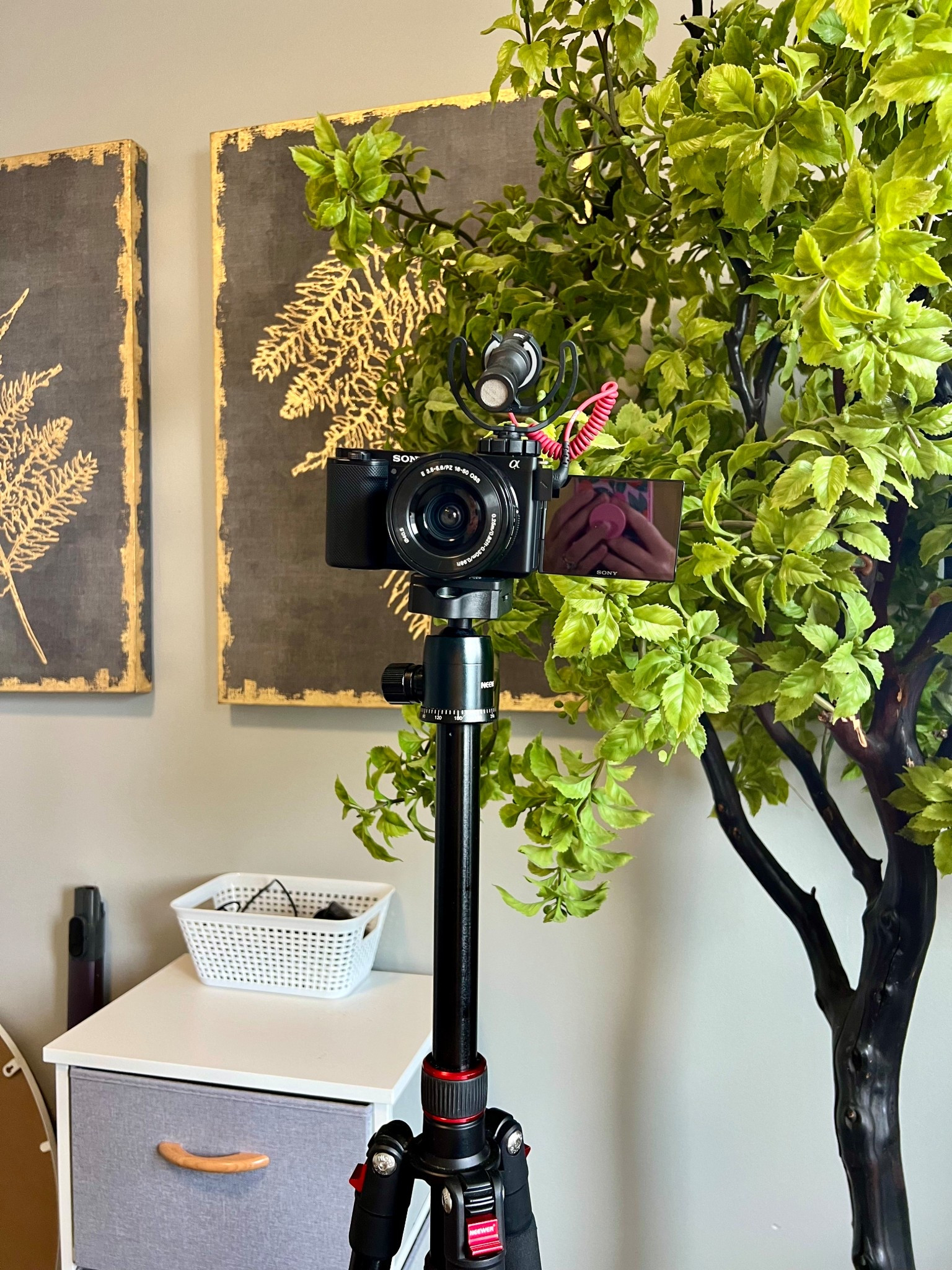 This is the camera I use for all my YouTube videos! After a bit of practice I think it’s an absolutely great camera📸
I will be posting all the gear I use for content creation!
#camera #photography #contentcreator

#LTKTravel #LTKHome