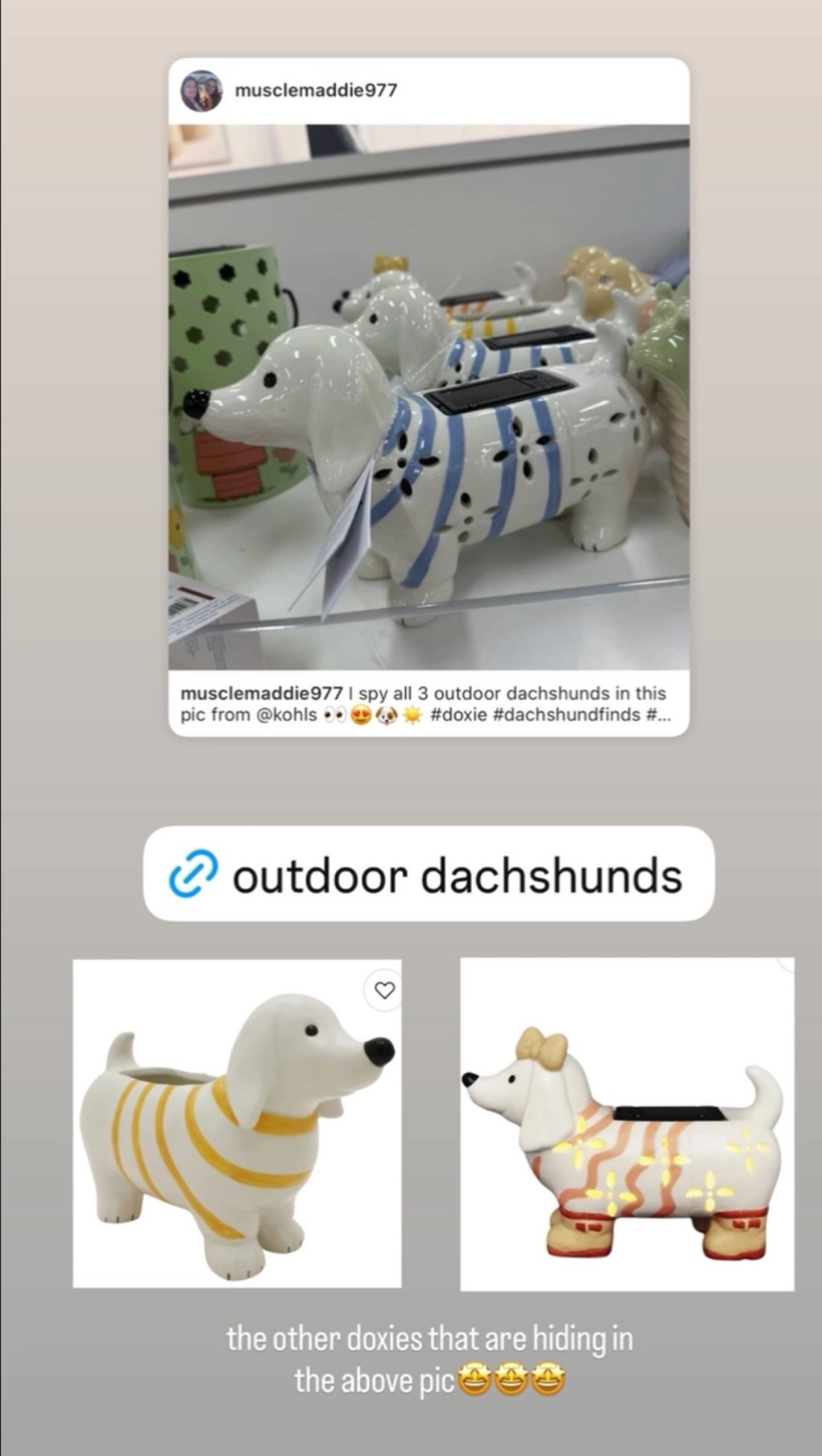 @kohls dachshund outdoors!
