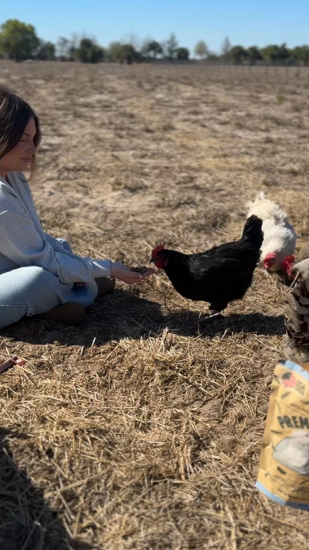 They love these!! 

#LTKHome #LTKmorningroutine #LTKSeasonal