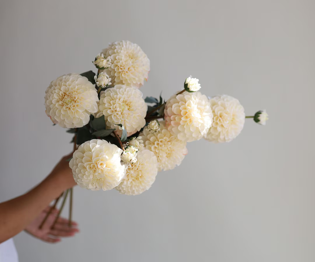 31.6" Artificial Dahlia Blossom Branch-Ivory/Beige, Dahlia Flower Stem, DIY Florals | Wedding/Hom... | Etsy (US)