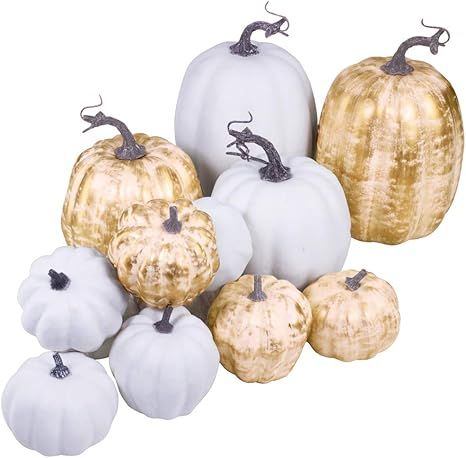 14 Pcs Assorted Fall Artificial Pumpkins Harvest Frosted Pumpkins Gold Brushed White Foam Pumpkin... | Amazon (US)