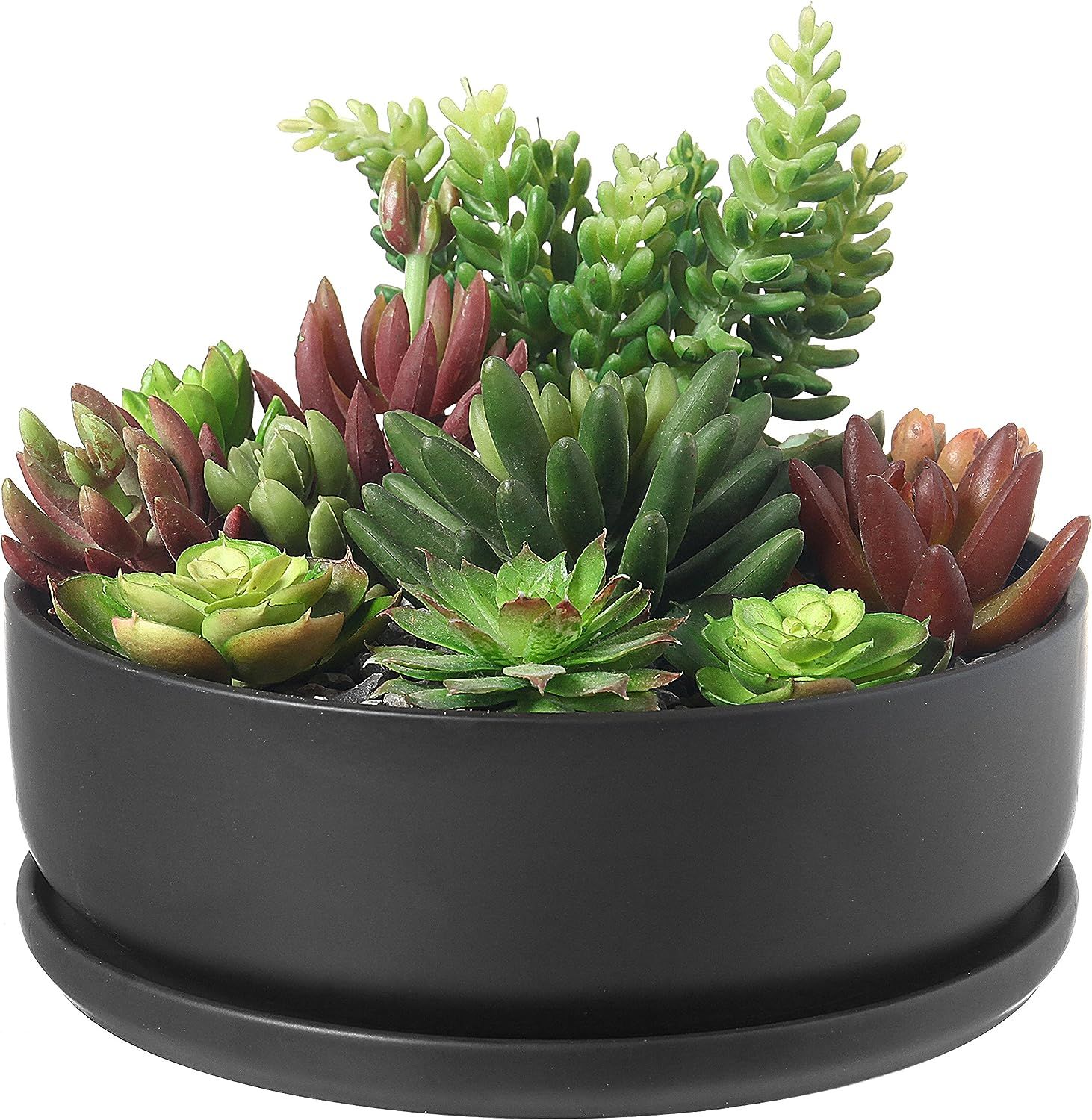 MyGift 8 Inch Black Ceramic Indoor Plant Pot with Drainage Hole, Decorative Flower Succulent Plan... | Amazon (US)