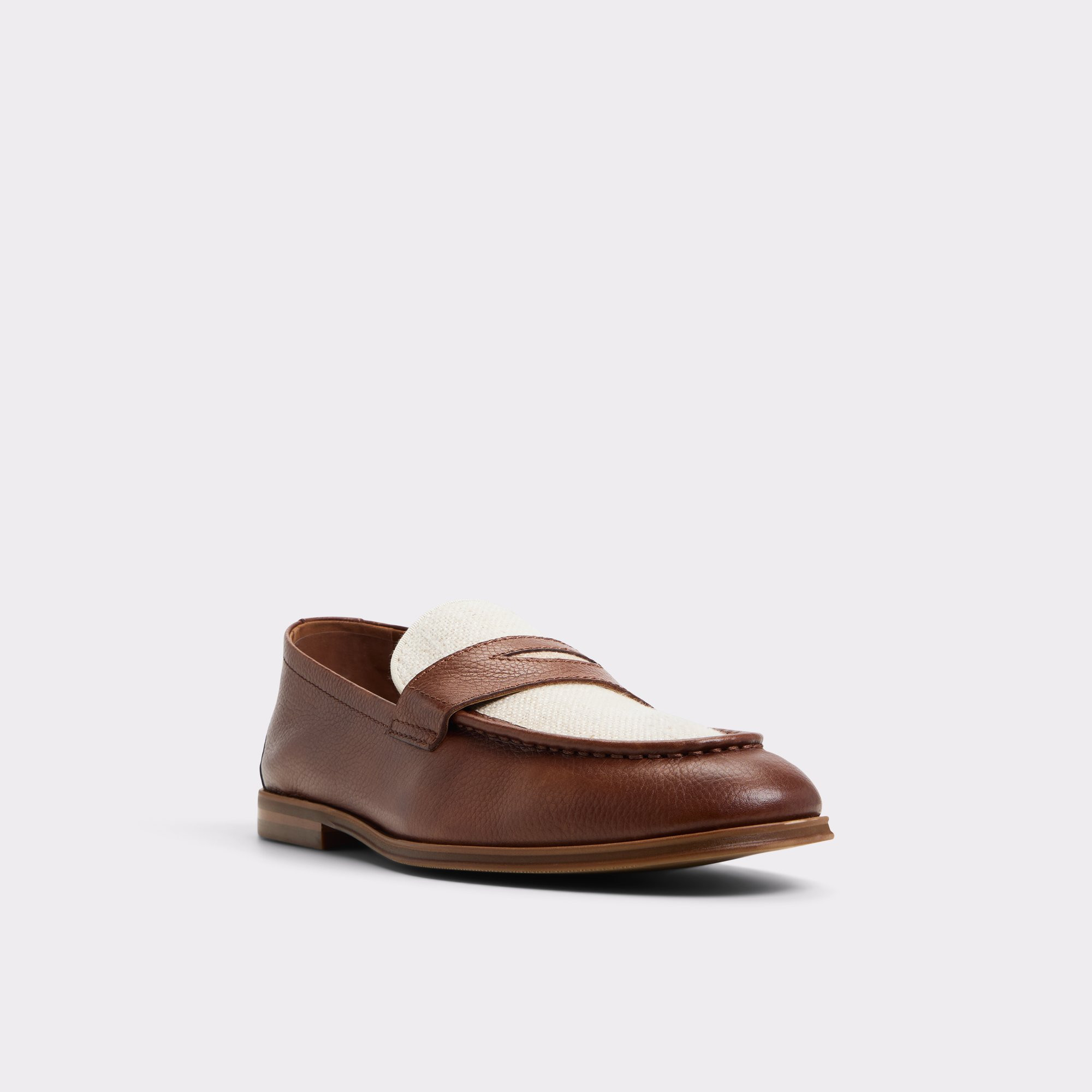 Loafer | Aldo Shoes (US)