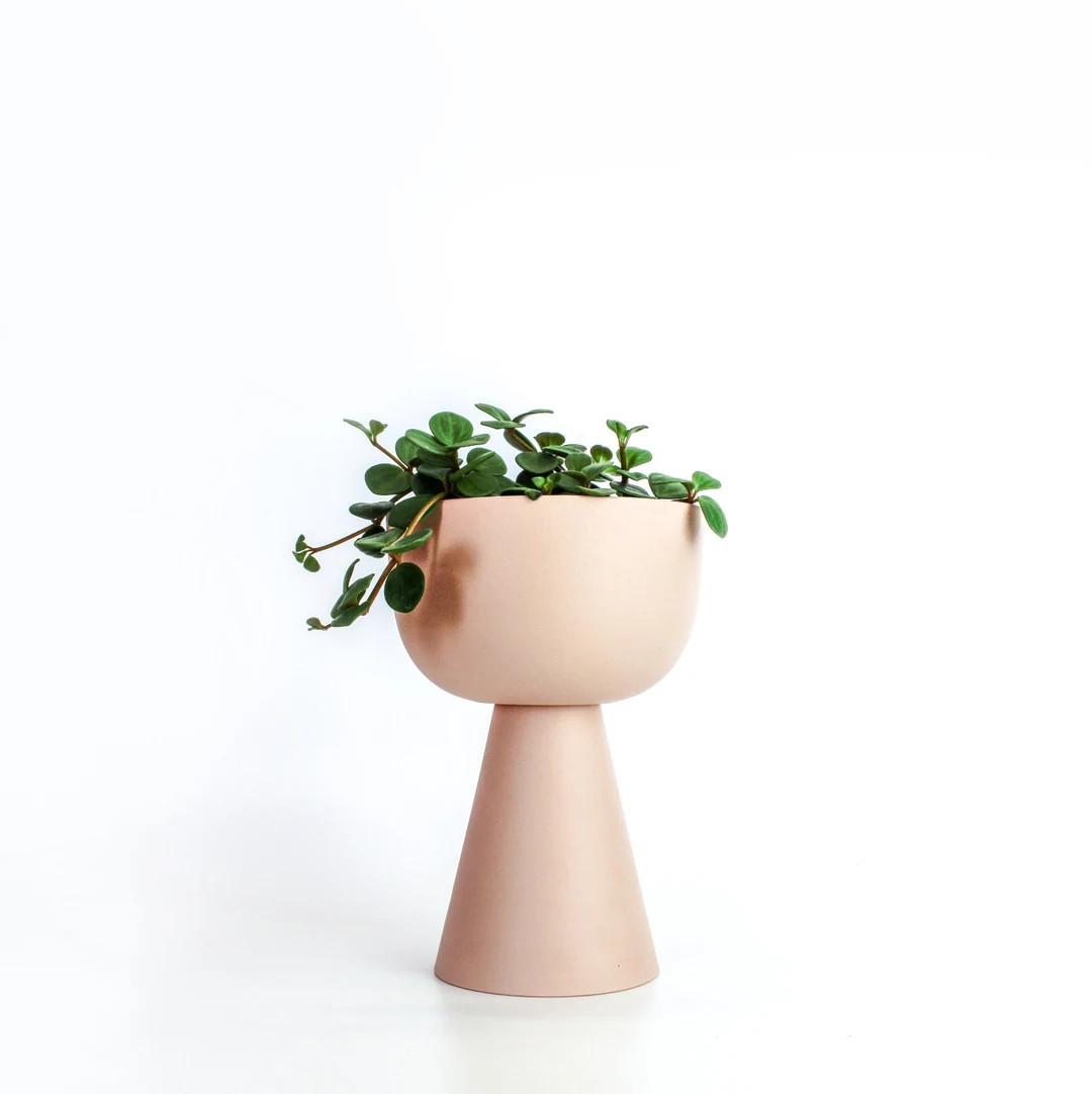 4 GUILLAUME ROSE  Pot Cover Plant Pot Ceramic - Etsy | Etsy (US)