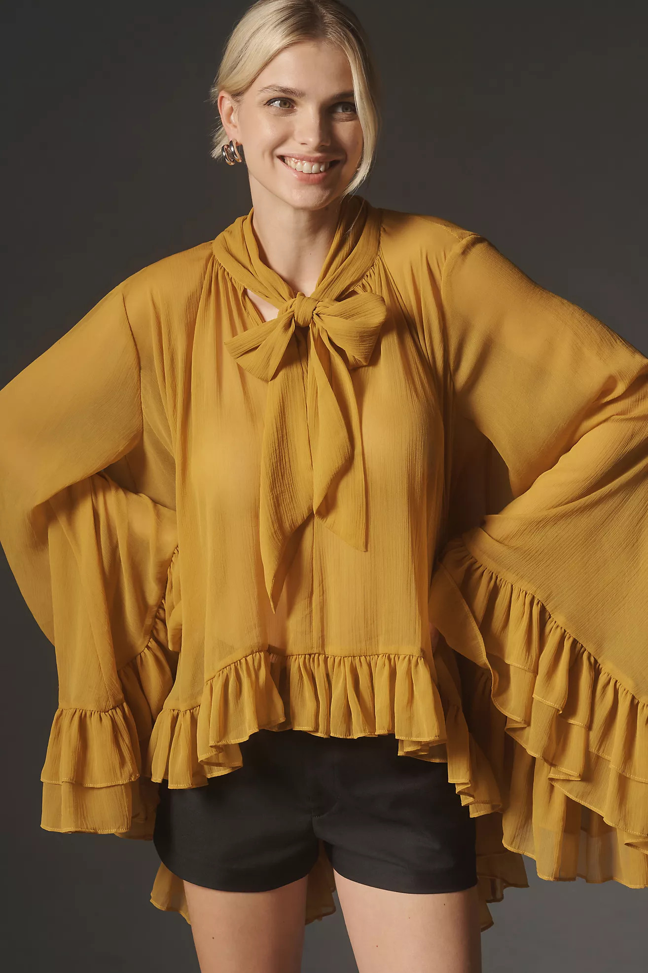Let Me Be Sheer Tie-Neck Ruffle Blouse | Anthropologie (US)