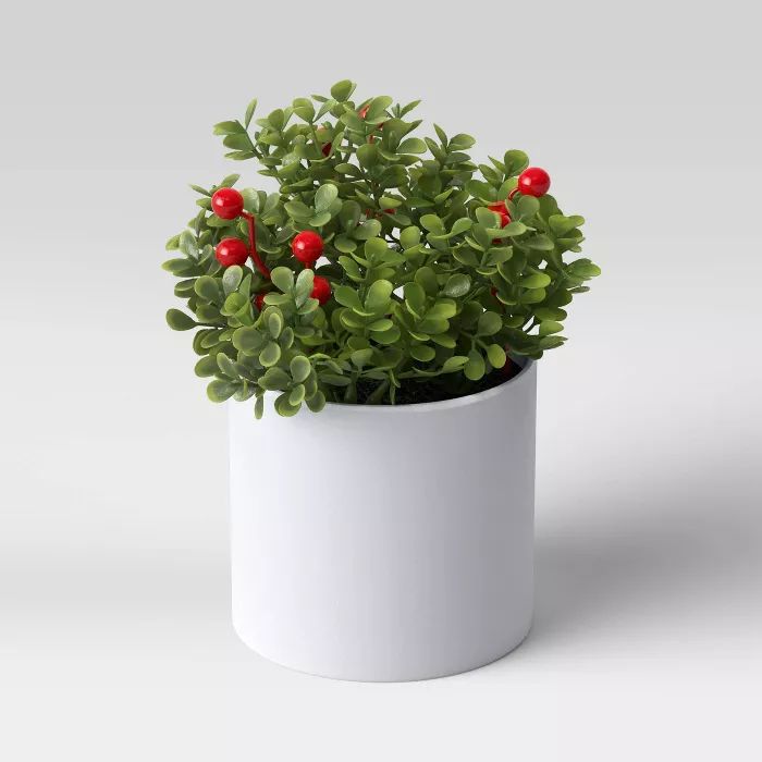 Plant Boxwood Red Berry - Threshold™ | Target