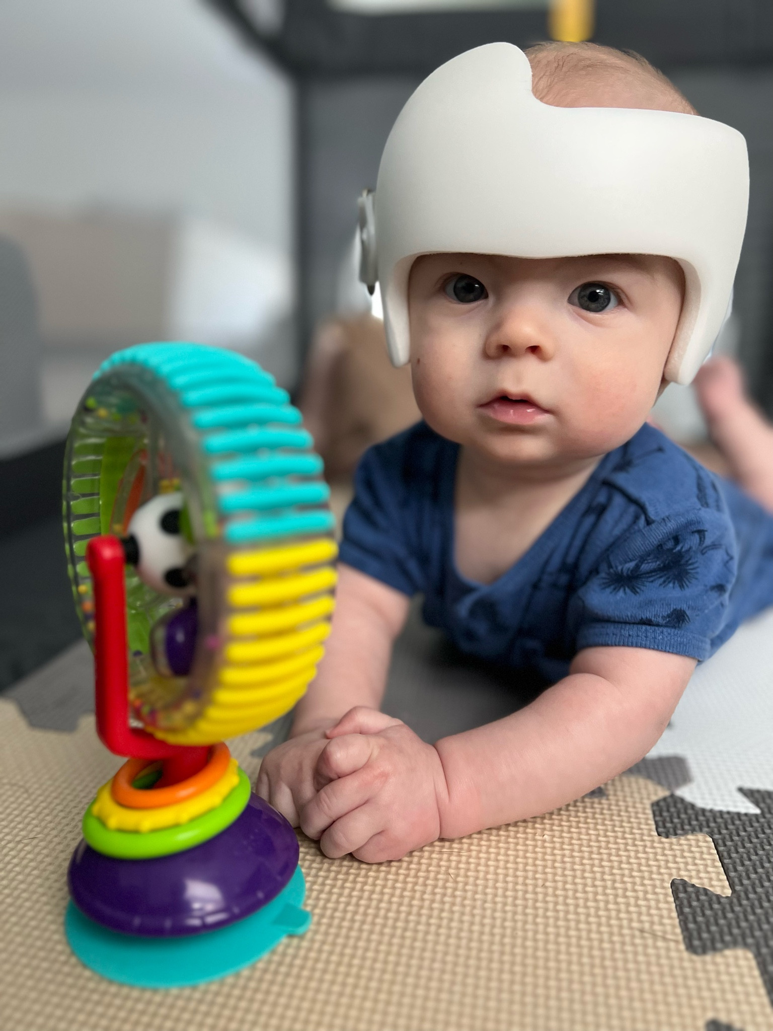 Our favorite products to ensure Barrett and the helmet stay fresh and clean! 

Cranial helmet | doc band | baby helmet | baby shampoo | mustella | sprayer | bath time | natural odor neutralizer | brachycephaly | plagiocephaly | torticollis 

#LTKbaby