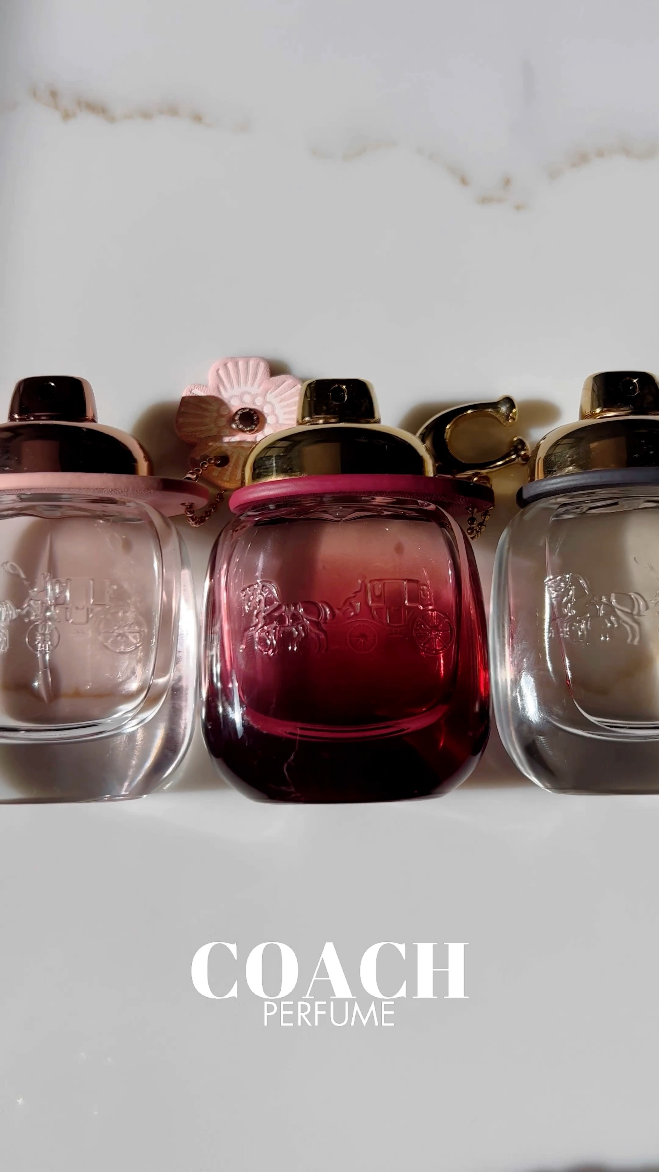 COACH | COACH FINDS | COACH PERFUME | PERFUME | MUSKY PERFUME | SUEDE PERFUME | WOODY PERFUME | PERFUME FINDS | SENSUAL PERFUME | FLORAL PERSUME

#LTKfindsunder100 #LTKbeauty #LTKU