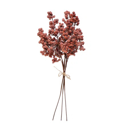 Berry Bushes | Joss & Main | Wayfair North America
