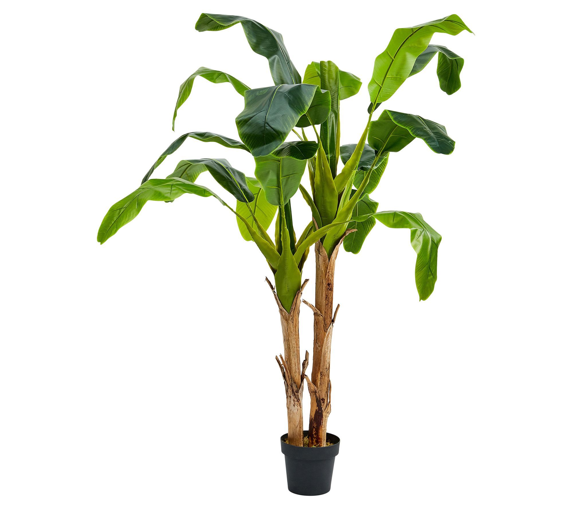 Pure Garden 72" Artificial Double Trunk BananaLeaf Tree | QVC