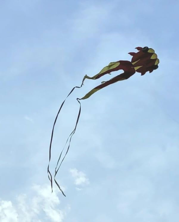 43ft Large Kites for Adults,3D Goldfish Frameless Soft Umbrella Giant Flying Kites,Easy to Fly wi... | Amazon (US)