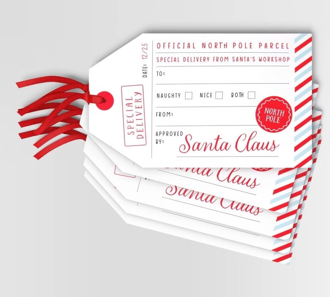 5ct Special Delivery Christmas Gift Tags - Wondershop

#LTKKids #LTKHoliday #LTKGiftGuide