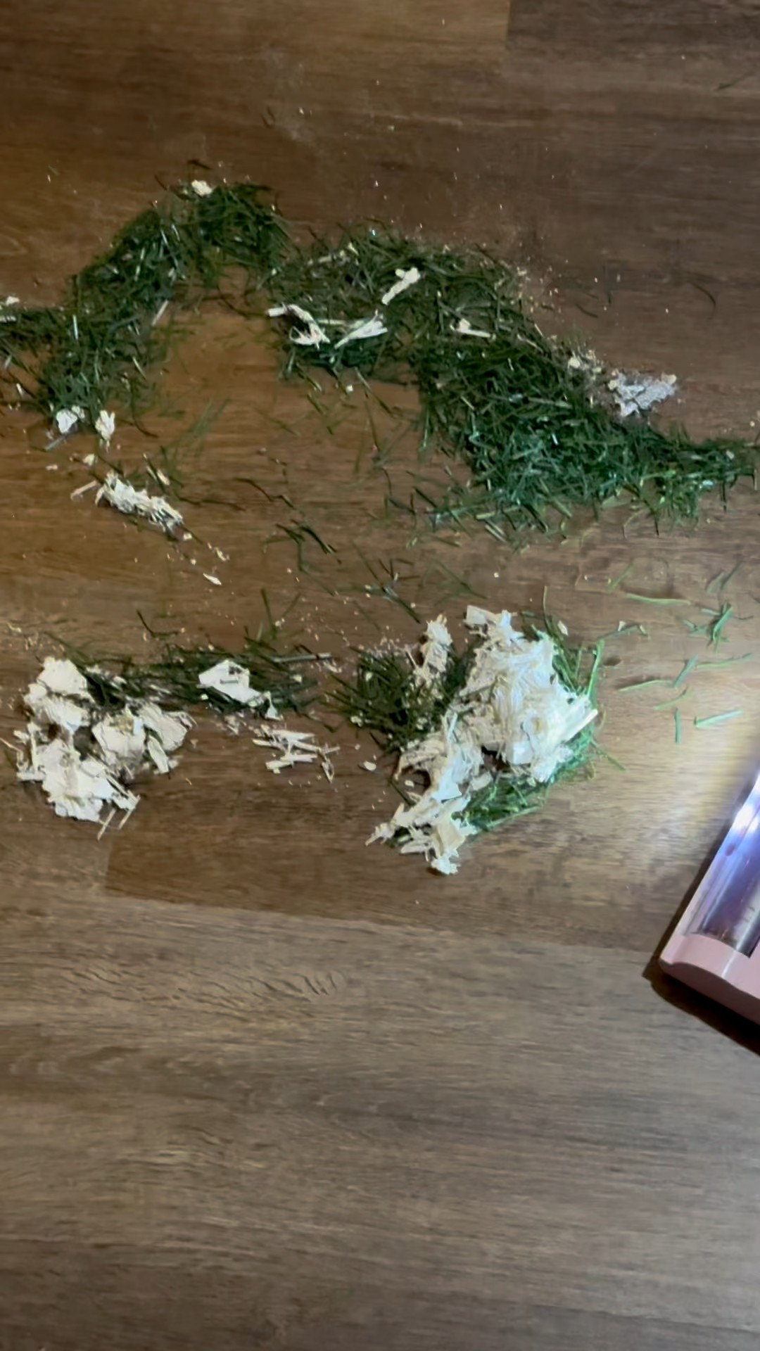 Sharing this cordless, rechargeable vacuum again in preparation for the Christmas season!

This is the best and vacuum I’ve ever had!
It hands major messes, dog hair, dust, ride, Christmas’s greenery, like it’s NOTHING! 
And it comes in so many colors!

#LTKFindsUnder100 #LTKHome #LTKPets