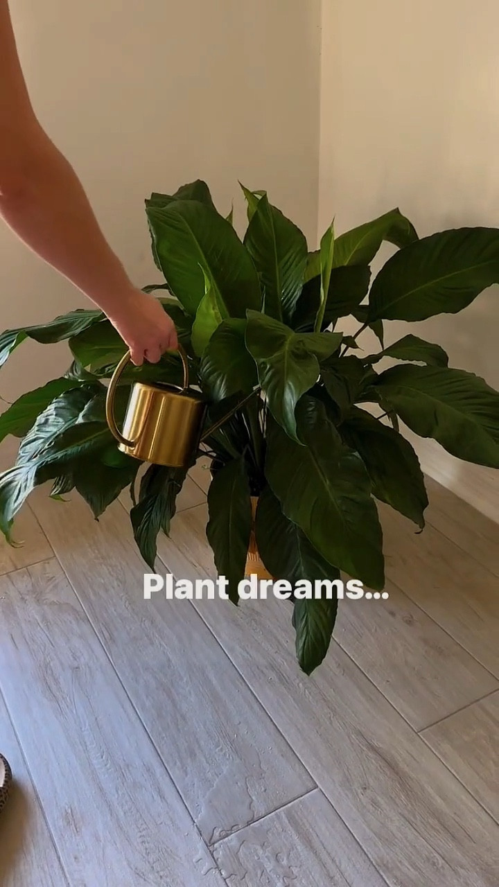 Gold Watering Can

#LTKHome