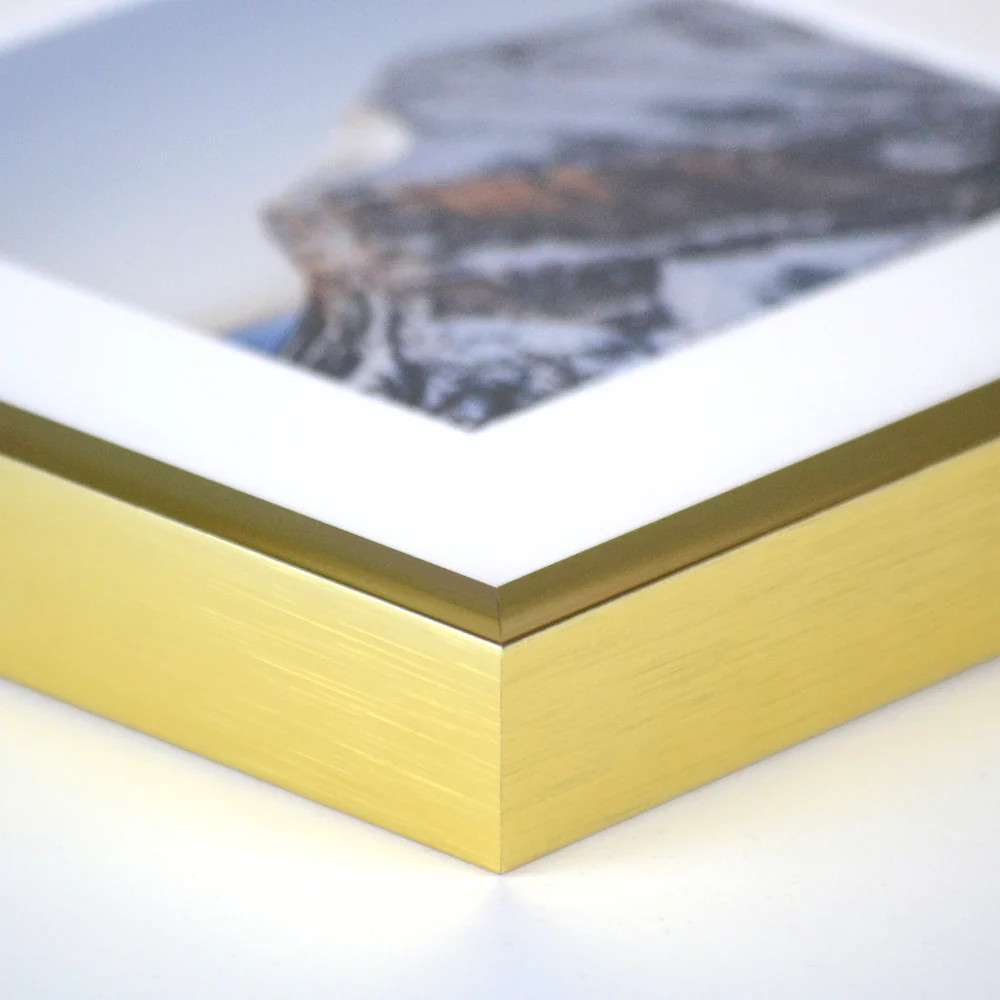 Metal Frame (Paper Prints Only) | Urban Garden Prints