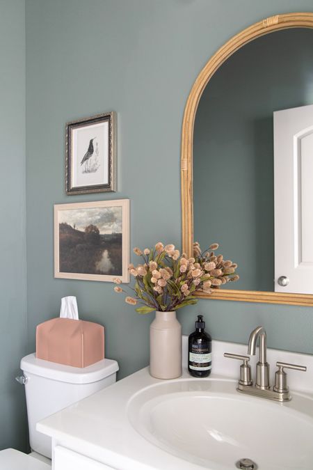 Green powder room, arched rattan mirror, brushed nickel bathroom faucet, faux leather tissue box cover

#LTKfindsunder50 #LTKSeasonal #LTKhome