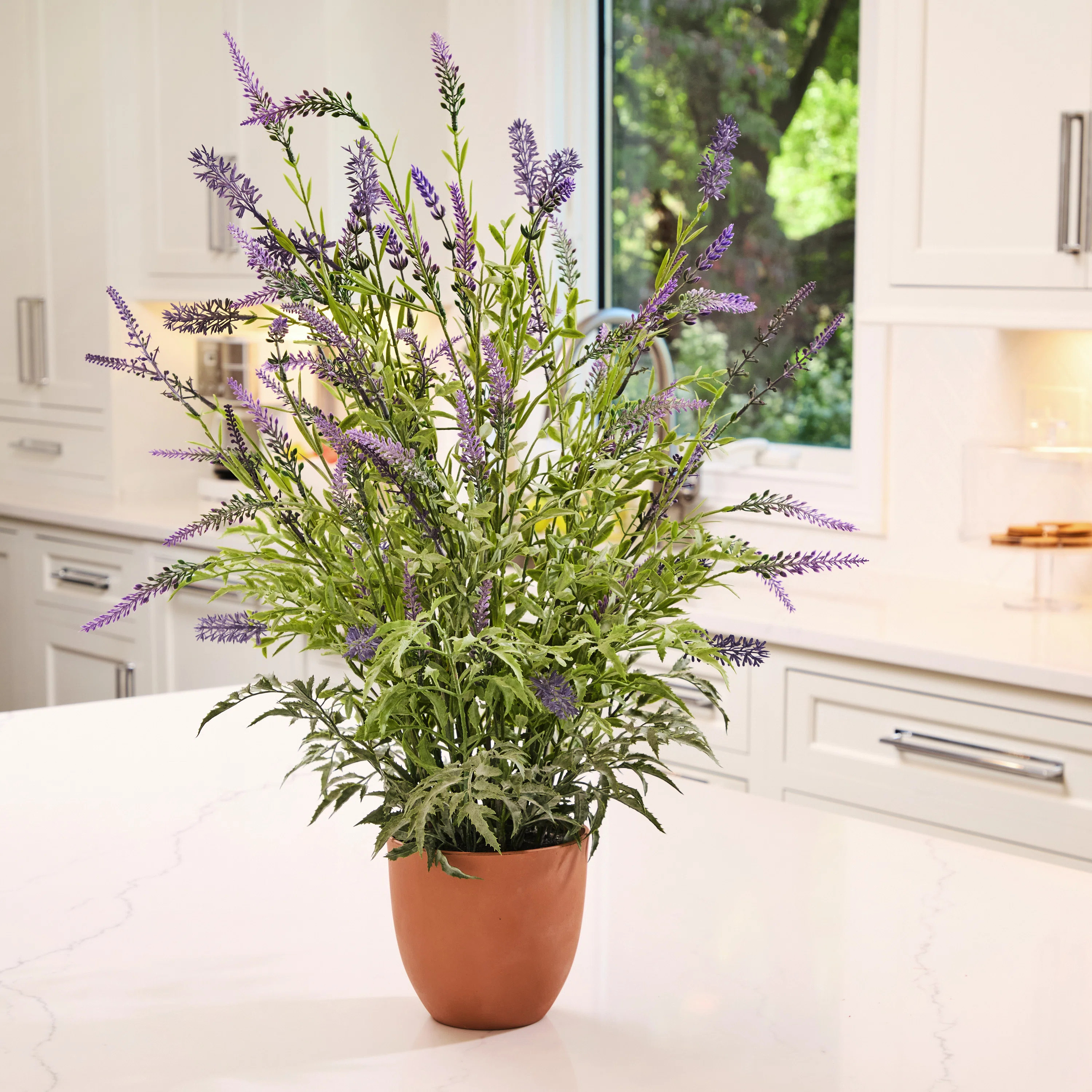25" Potted UV Lavender Plant | Wayfair North America
