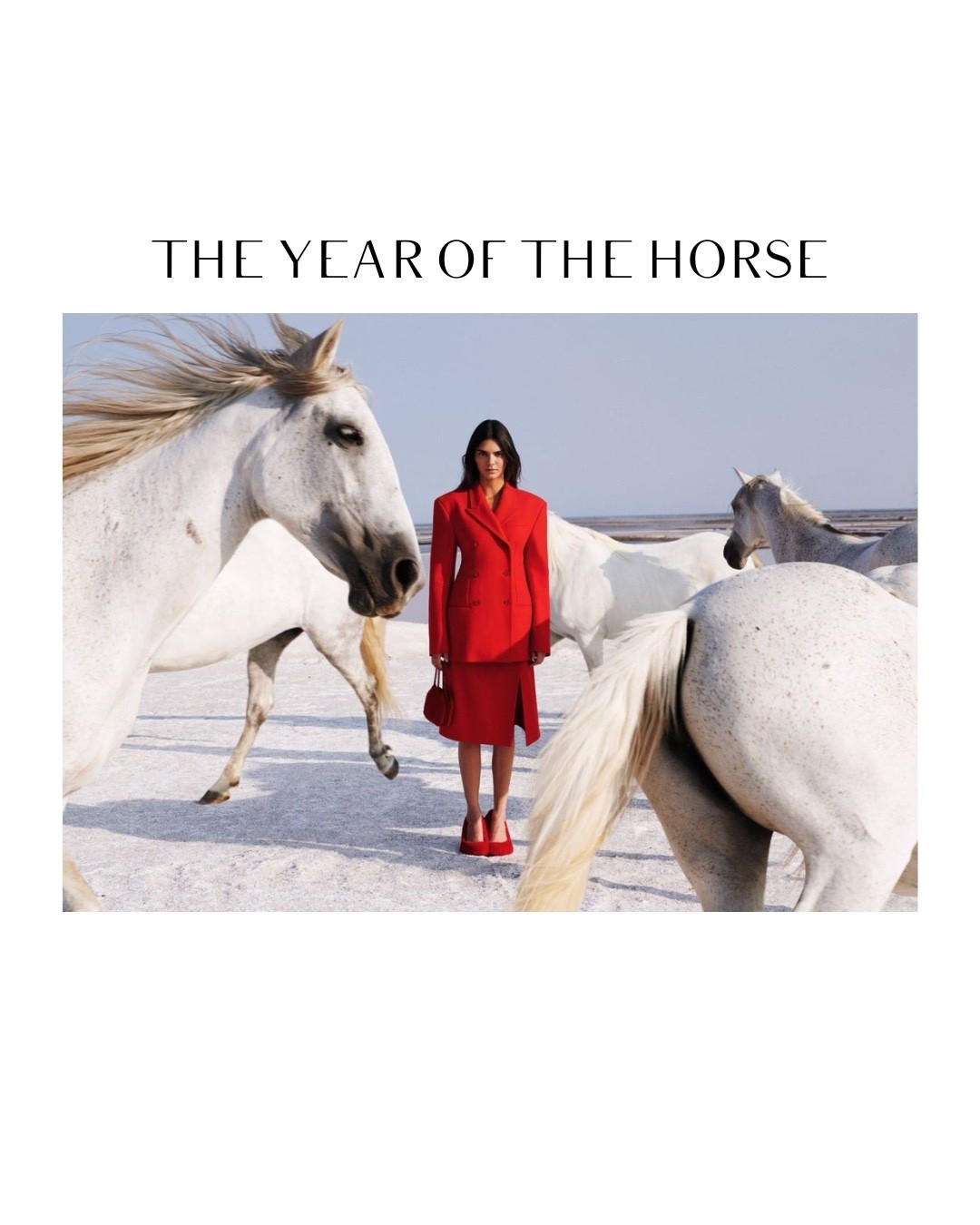 The Year of the Horse

#LTKSeasonal