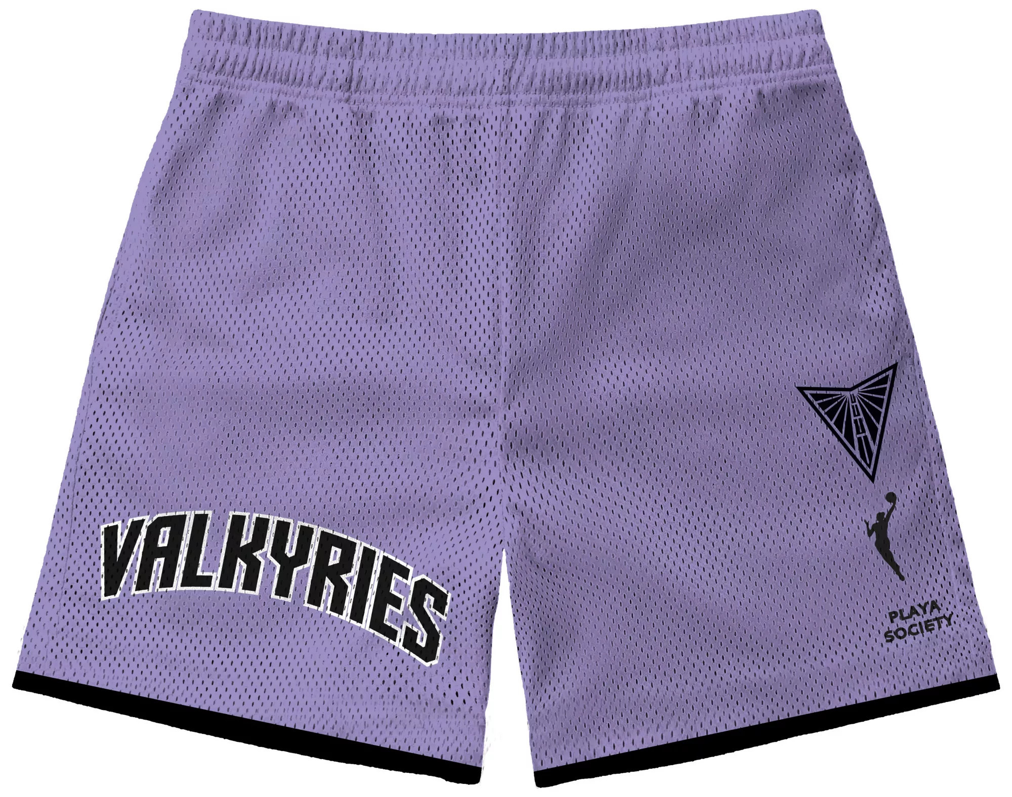PLAYA SOCIETY Men's Golden State Valkyries Purple Wordmark Team Shorts, Small | DICK'S Sporting Goods
