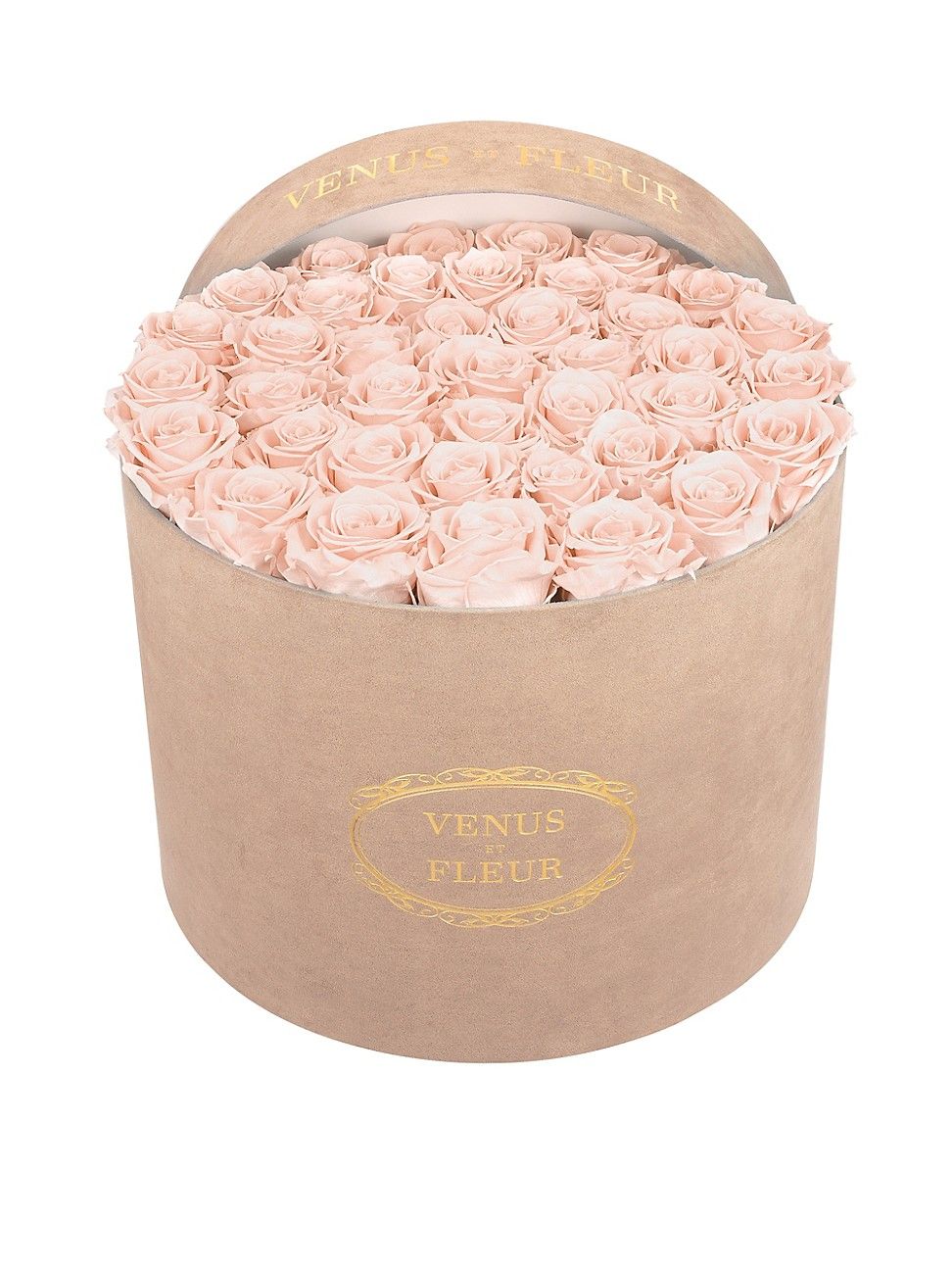 Large Round Faux Suede Keepsafe Box with Eternity Roses - Blush - Blush | Saks Fifth Avenue