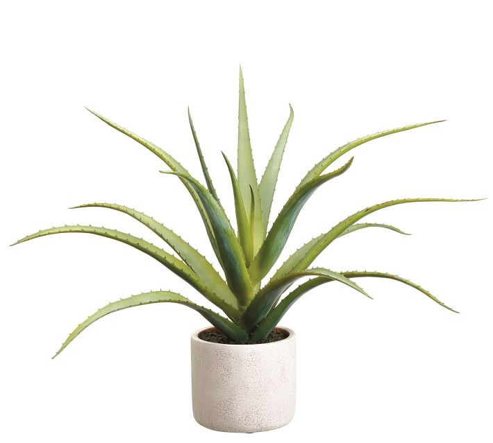 Faux Aloe Plant In Natural-Tone Cement Pot | Pottery Barn (US)