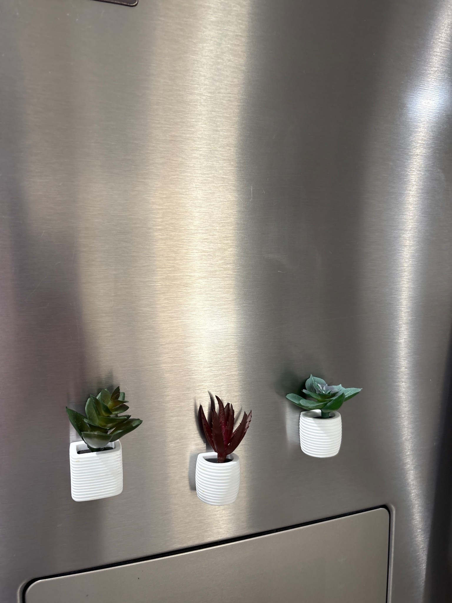 Cutie Succulent magnets 🌵