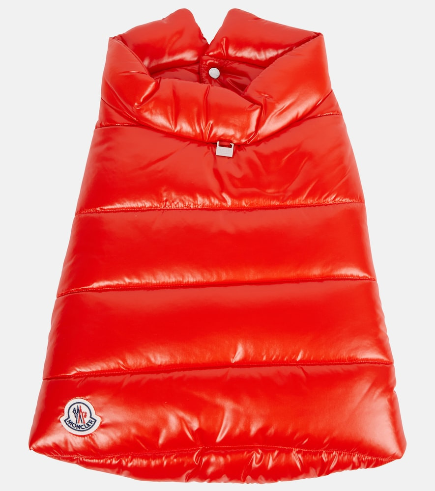 Moncler Moncler Poldo Dog Couture dog coat | Mytheresa (US/CA)
