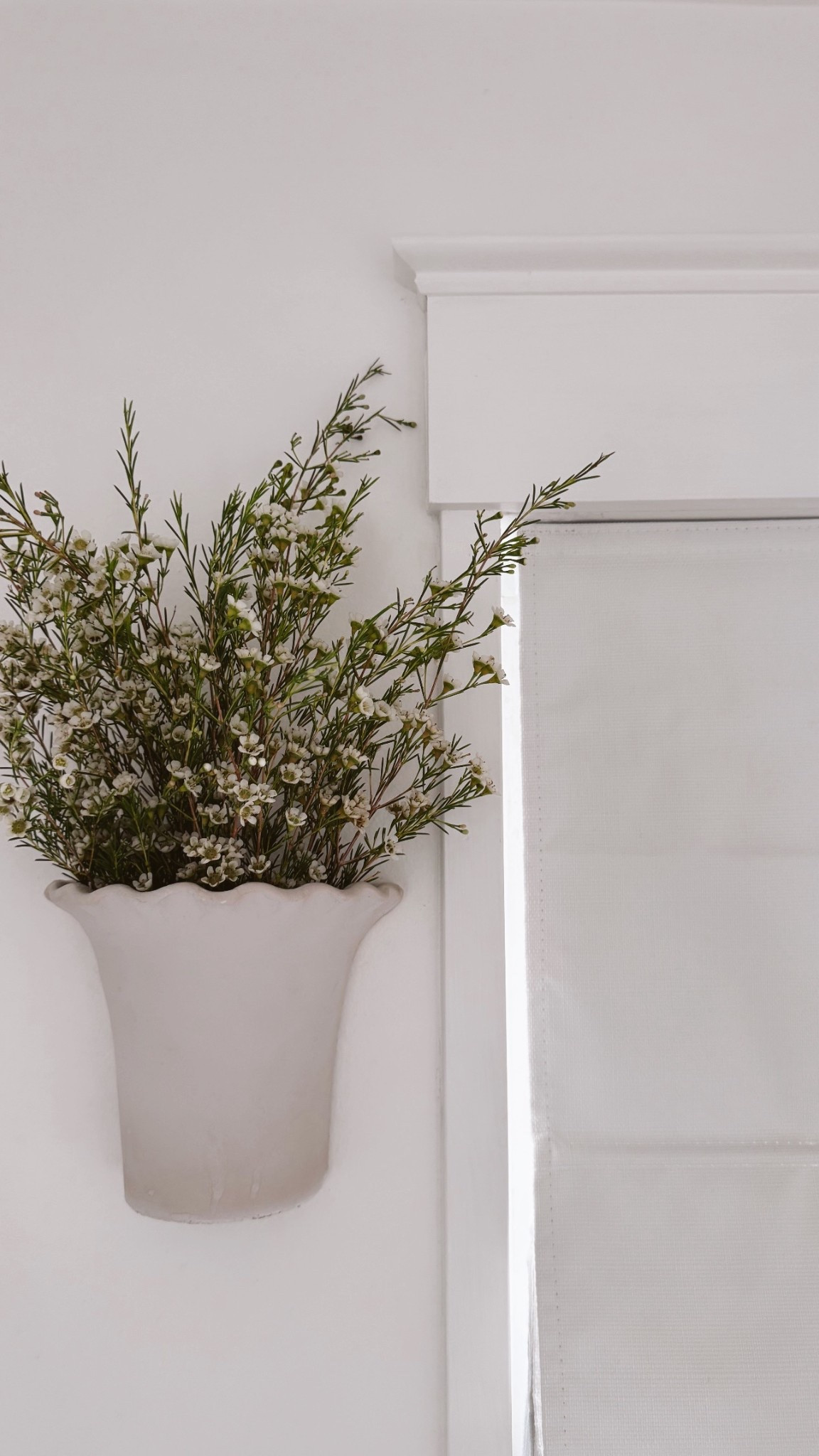 Give me all the wall vases, I got size small! 

#LTKHome #LTKBeauty #LTKSaleAlert